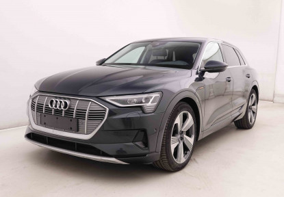 AUDI_AUDI_E_TRON_2548419_27.jpg