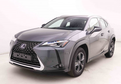 LEXUS_LEXUS_UX250H_2445458_26.jpg