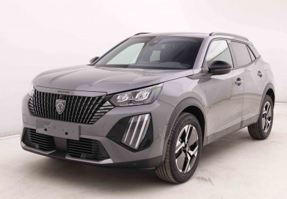 PEUGEOT_PEUGEOT_2008_2548860_23.jpg