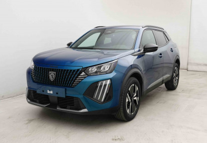 PEUGEOT_PEUGEOT_2008_2653229_24.jpg
