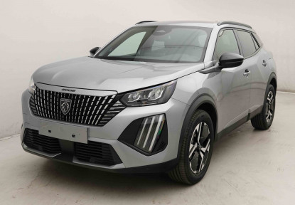 PEUGEOT_PEUGEOT_2008_2654373_24.jpg