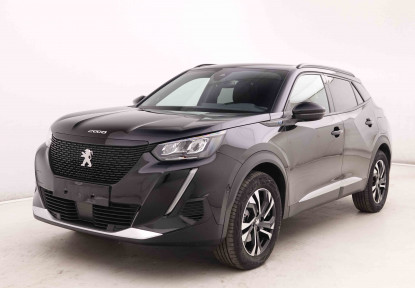PEUGEOT_PEUGEOT_E_2008_2548608_21.jpg