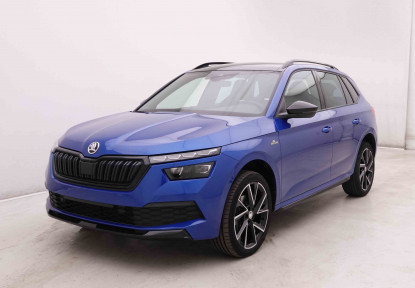 SKODA_SKODA_KAMIQ_2548619_22.jpg