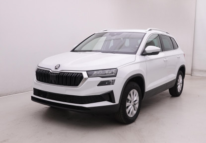 SKODA_SKODA_KAROQ_2444948_22.jpg