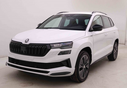 SKODA_SKODA_KAROQ_2446604_25.jpg