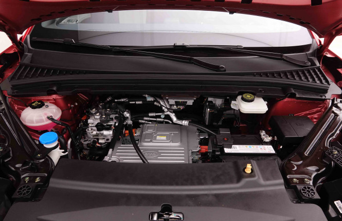 BYD_BYD_ATTO 3_2548765_24.jpg