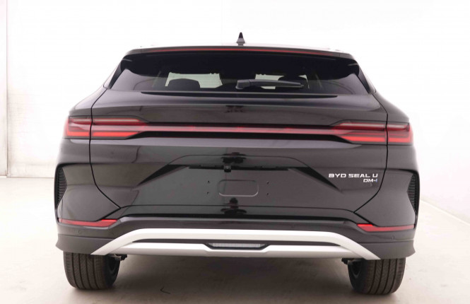 BYD_BYD_SEAL U_2549938_38.jpg