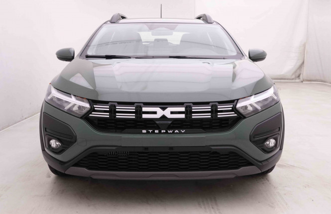 DACIA_DACIA_SANDERO_2549310_23.jpg