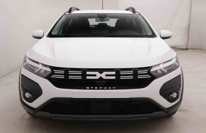 DACIA_DACIA_SANDERO_2549466_21.jpg
