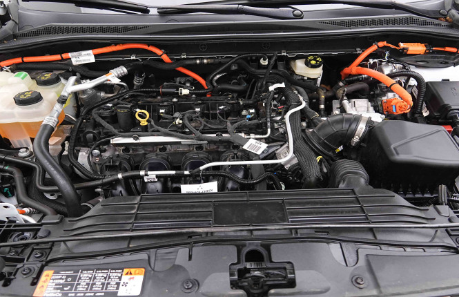 FORD_FORD_KUGA_2654599_22.jpg