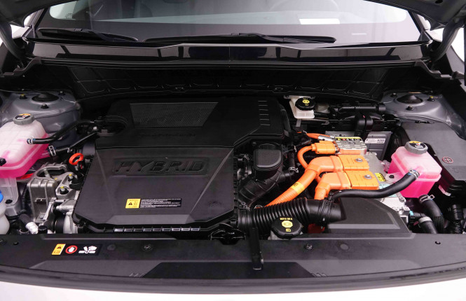 KIA_KIA_NIRO_2446396_24.jpg