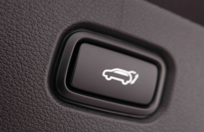KIA_KIA_SPORTAGE_2550314_6.jpg