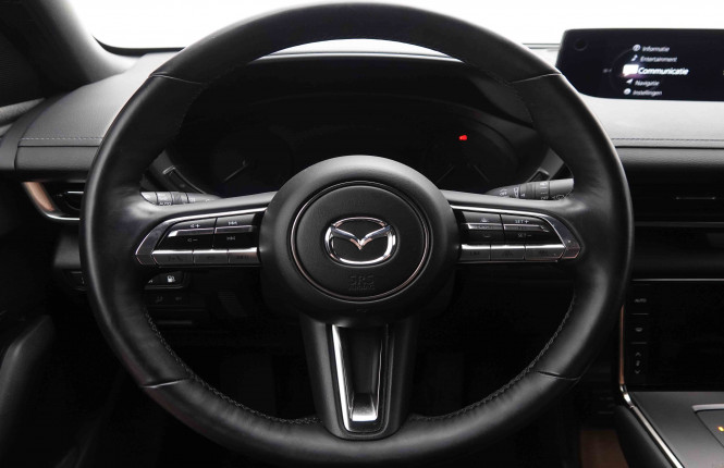 MAZDA_MAZDA_MX_30_2549609_9.jpg