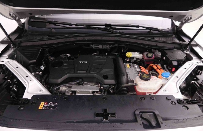 MG_MG_EHS_2550536_26.jpg