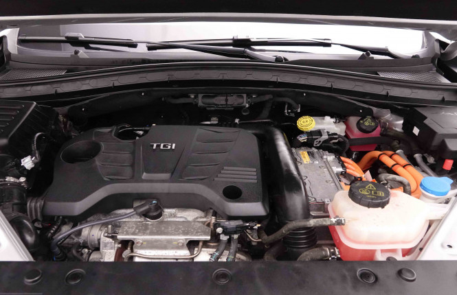 MG_MG_EHS_2651998_25.jpg MG_MG_EHS_2651998_25.jpg