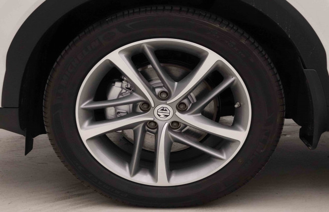 MG_MG_EHS_2651999_22.jpg MG_MG_EHS_2651999_22.jpg