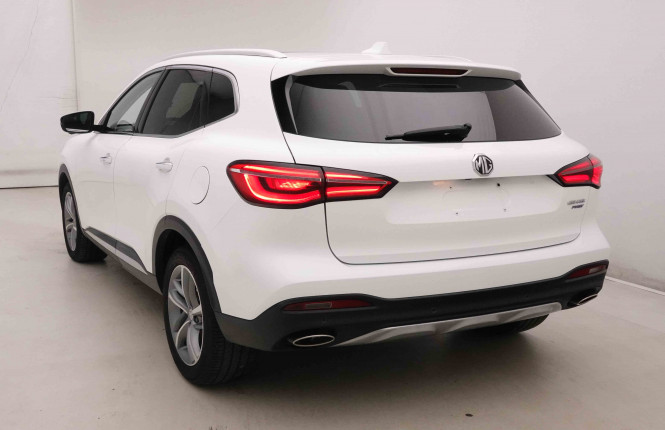 MG_MG_EHS_2652003_30.jpg MG_MG_EHS_2652003_30.jpg