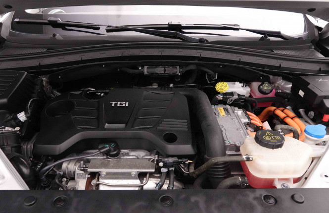 MG_MG_EHS_2652004_25.jpg MG_MG_EHS_2652004_25.jpg