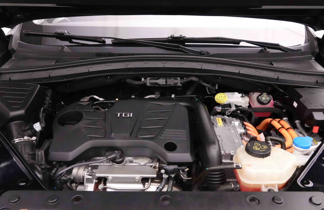 MG_MG_EHS_2652005_25.jpg MG_MG_EHS_2652005_25.jpg