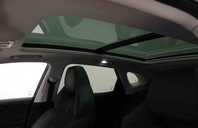 MG_MG_EHS_2652013_11.jpg MG_MG_EHS_2652013_11.jpg