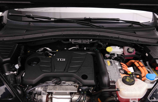 MG_MG_EHS_2652013_26.jpg MG_MG_EHS_2652013_26.jpg