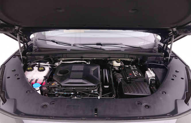 MG_MG_HS_2547961_25.jpg