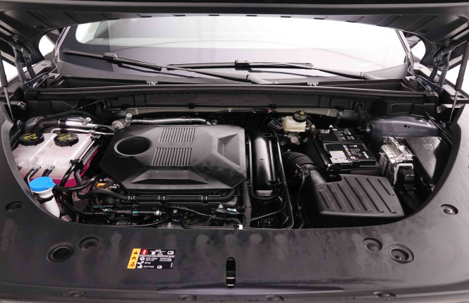 MG_MG_HS_2549243_22.jpg