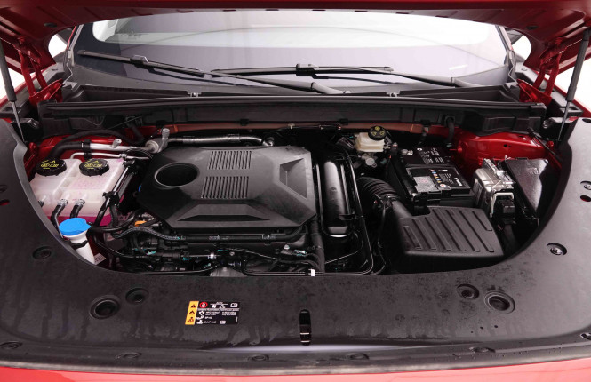 MG_MG_HS_2549254_22.jpg MG_MG_HS_2549254_22.jpg