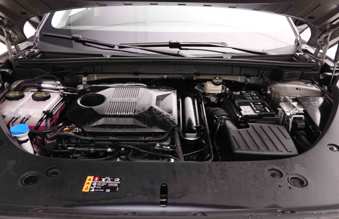 MG_MG_HS_2549264_23.jpg