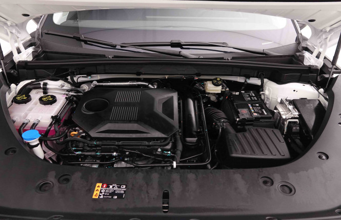 MG_MG_HS_2549272_22.jpg