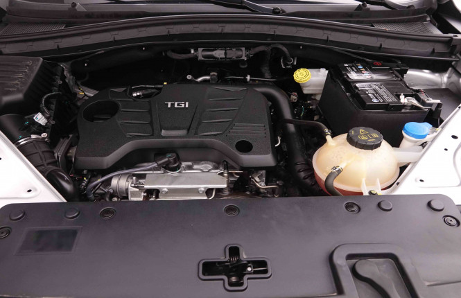 MG_MG_HS_2550534_21.jpg