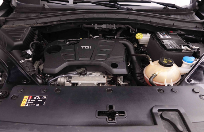 MG_MG_HS_2551065_22.jpg MG_MG_HS_2551065_22.jpg