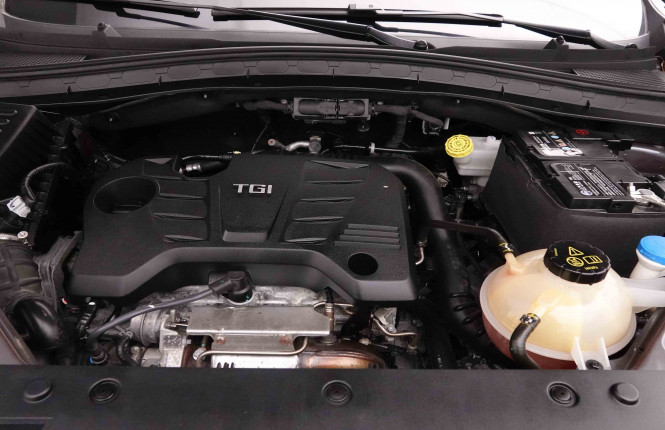 MG_MG_HS_2652736_22.jpg MG_MG_HS_2652736_22.jpg