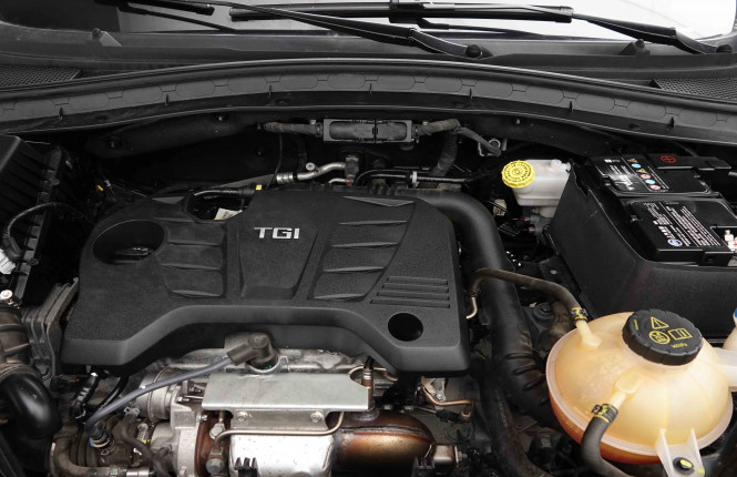 MG_MG_HS_2653556_23.jpg