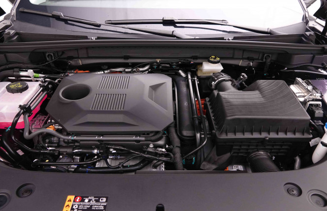 MG_MG_HS_2654737_49.jpg