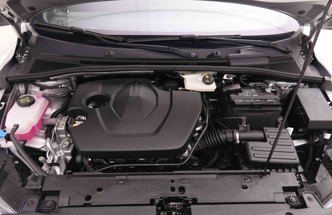 MG_MG_MG3_2549981_22.jpg MG_MG_MG3_2549981_22.jpg