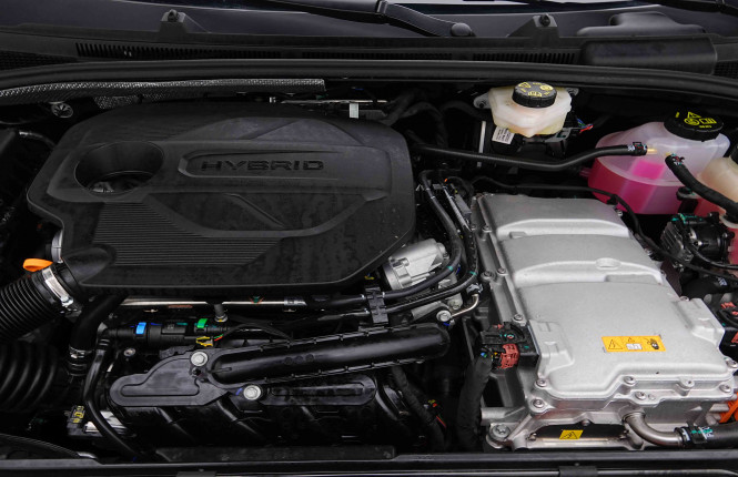 MG_MG_MG3_2654983_18.jpg MG_MG_MG3_2654983_18.jpg
