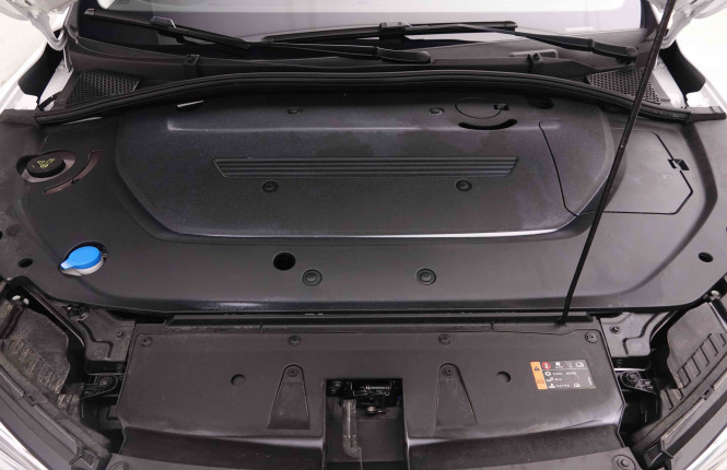 MG_MG_MG5_2550856_77.jpg MG_MG_MG5_2550856_77.jpg