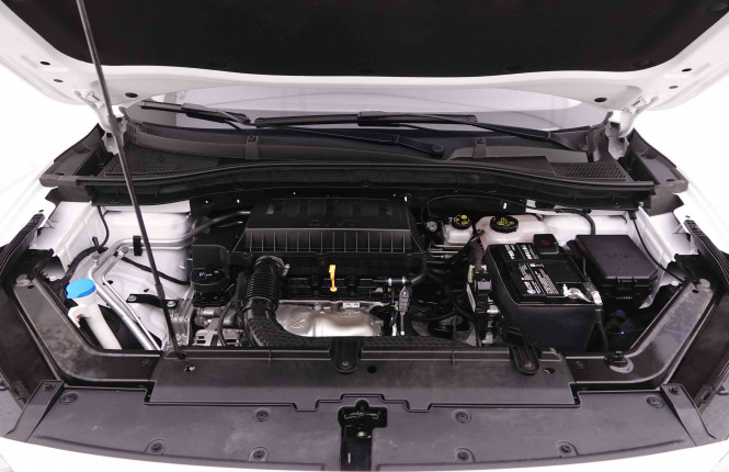 MG_MG_ZS_2548003_20.jpg
