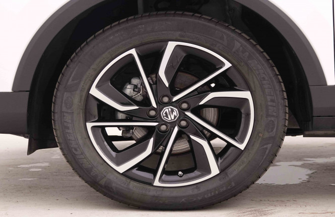 MG_MG_ZS_2548661_20.jpg