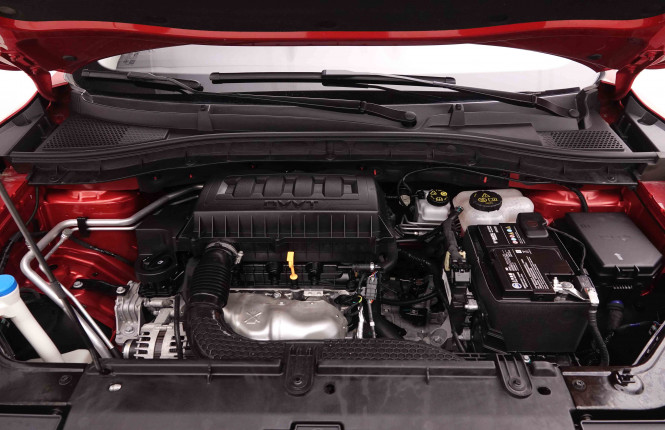 MG_MG_ZS_2548936_23.jpg