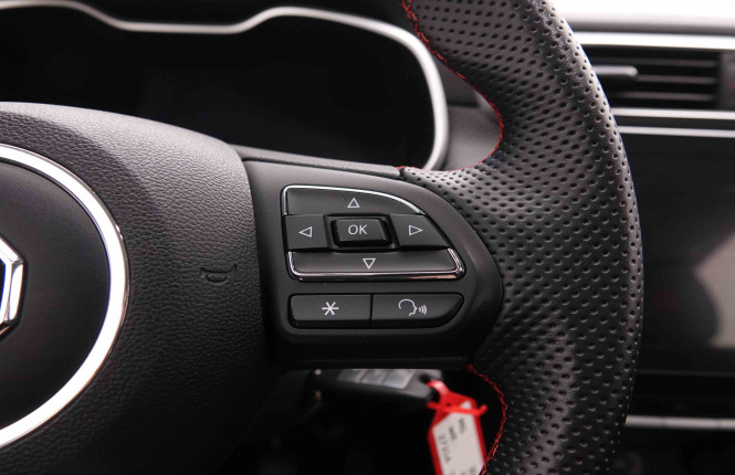 MG_MG_ZS_2548938_19.jpg