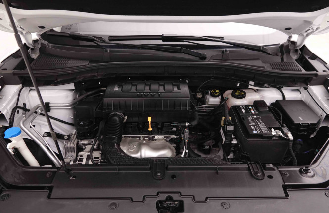 MG_MG_ZS_2548947_23.jpg
