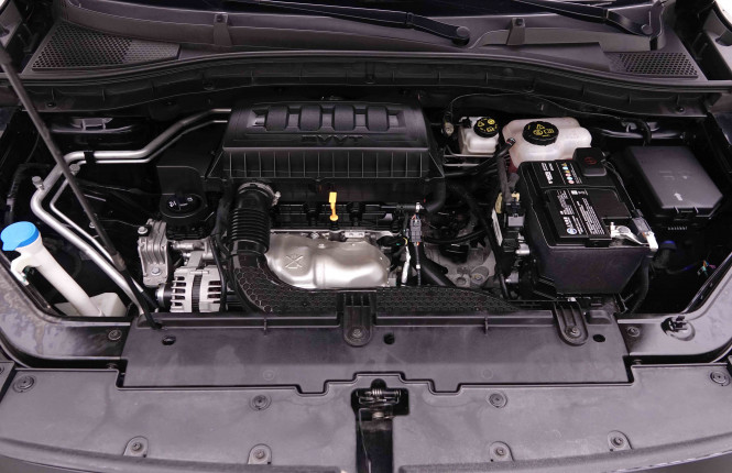 MG_MG_ZS_2548952_22.jpg