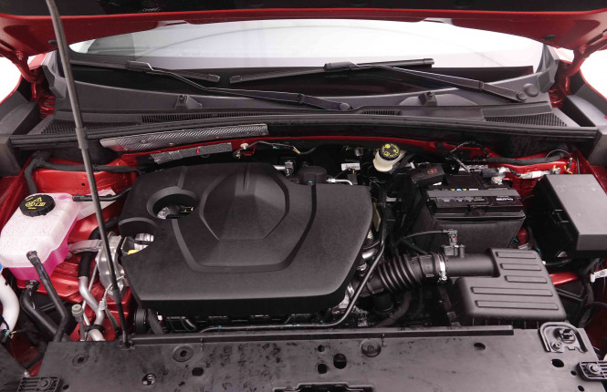 MG_MG_ZS_2549959_21.jpg