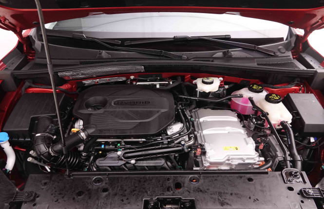 MG_MG_ZS_2550174_22.jpg