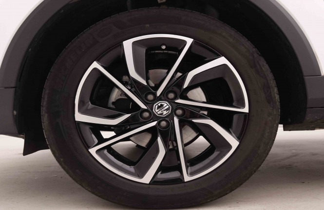MG_MG_ZS_2550701_22.jpg