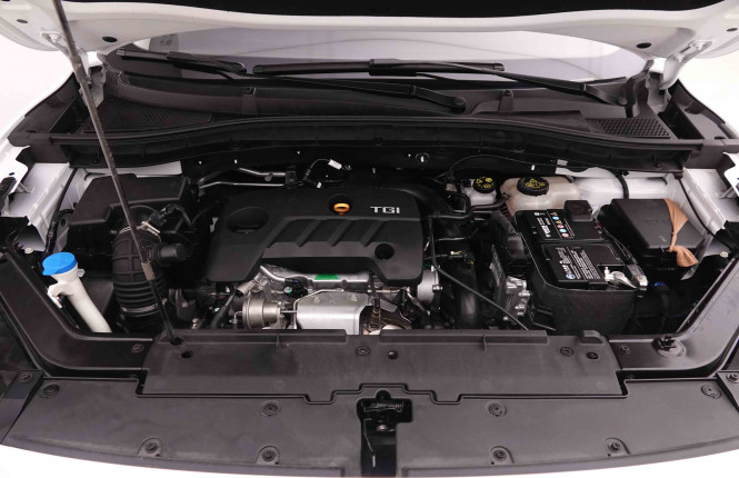 MG_MG_ZS_2550701_23.jpg