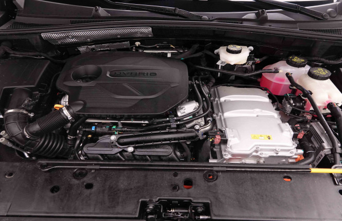MG_MG_ZS_2652063_22.jpg