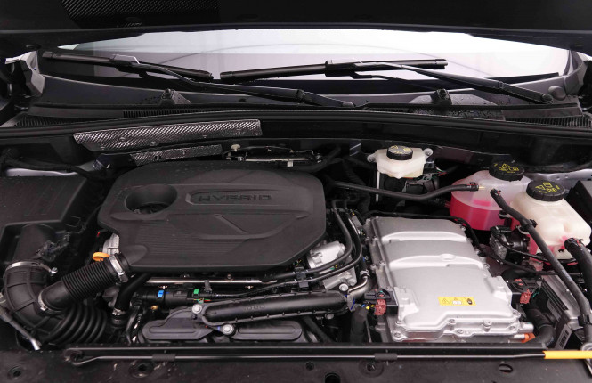 MG_MG_ZS_2652158_80.jpg MG_MG_ZS_2652158_80.jpg